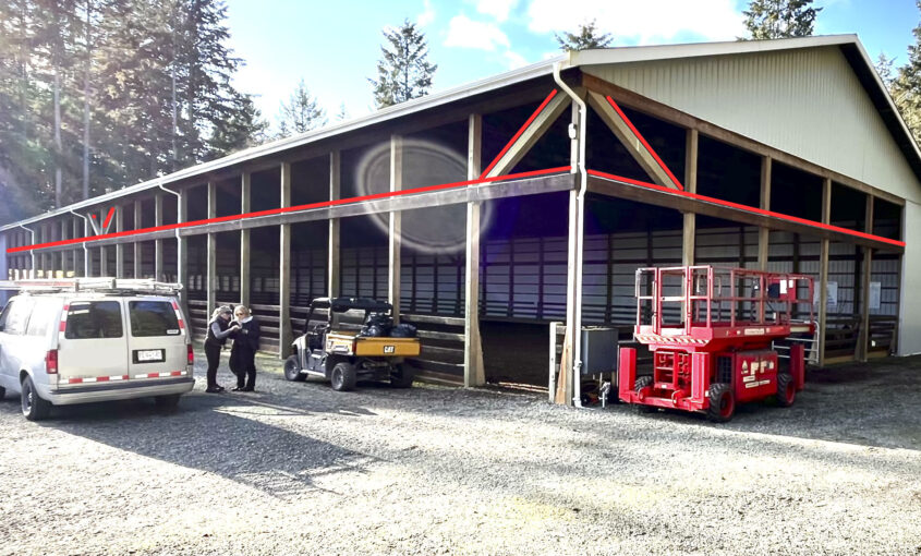 Bird control in equestrian arena