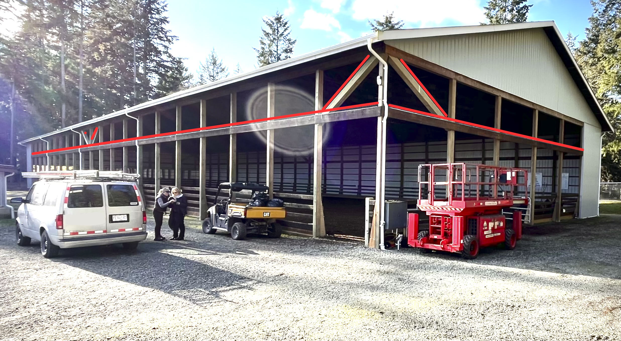 Bird control in equestrian arena