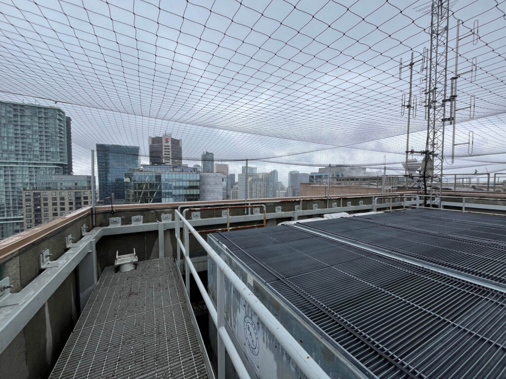 Bird Exclusion Netting Vancouver Federal Building
