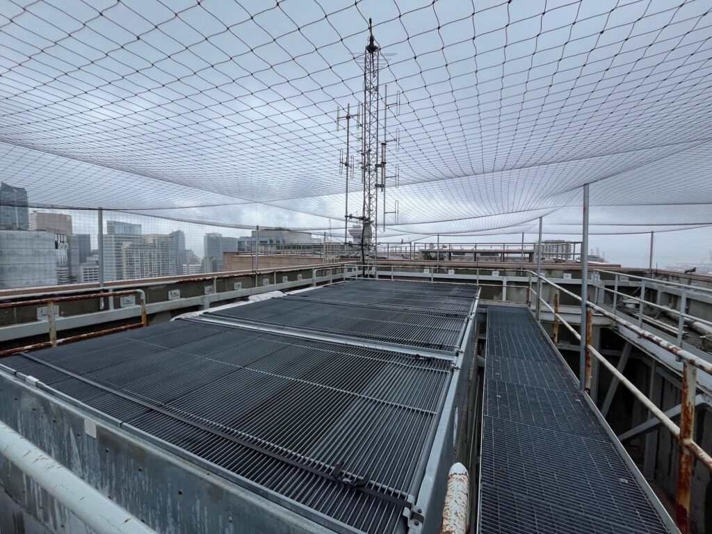 Bird Exclusion Netting Vancouver Federal Building