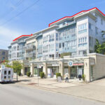 bird spike installation north vancouver